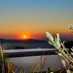 Divine View Sol Homes