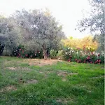 Irinis Cottage