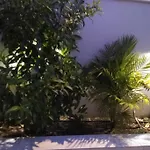 Arxontia 1