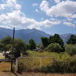 Suzie Hotel