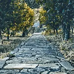 The Blue Getaway - Next To Pithara Waterfalls By Explore Andros