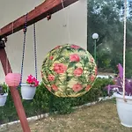 Camelia Studios
