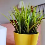 Aloe Villa