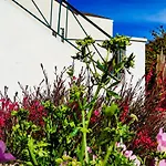 Aloe Villa