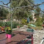Angeliki Cozy Apartment By Konnect, Centrally Located In Syvota