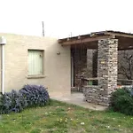 Cottage Amidst Vines And Oak Trees