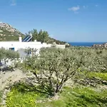 Unique & Restored Karpathian House