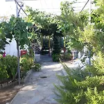 Studio Zoi