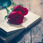Nour63