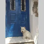 Blue & White: An Absolute Aegean Dream House
