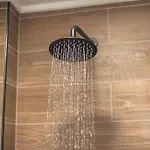 The 