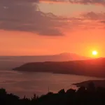 The Olive Grove Boutique Villas