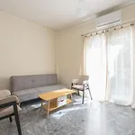 Spacious Apartment In Athens