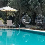 Summer Dream