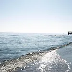 Summer Dream