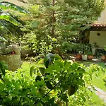 Lovely House