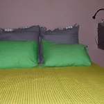 Nice Apartment Near City Center