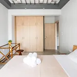 The 
