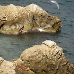 Villa Marilyn, Όροφος Βάσης