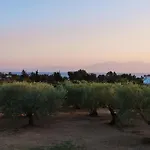 Spitaki