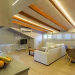 Contemporary Attic
