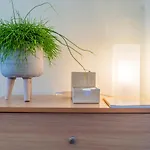 Tarik Home Live Traditional