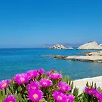 Anassa Milos House