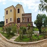 Olive Grove