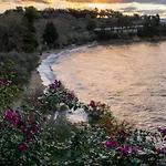 Roppas Studios Nostos