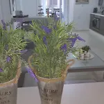 Lavender Home
