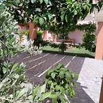 Olive Grove House
