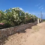 Ambra