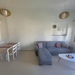Downtown Apartment- Harmony
