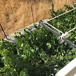 Sevasti Studios Eborios Kalymnos