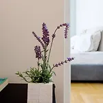 Beautiful Studio In The Heart Of The City