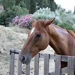 Apatouria Farmhouse