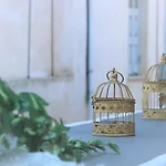 Stardust Of Plaka