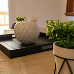 Comfortable Apartment