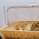 Argo Boutique Hotel