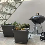 Tiny Little House