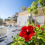 Lovely Two-Bedroom Apartment With Roof Garden! Ep7