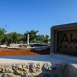 Aloni Ekies