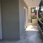 Zack'S Grande