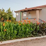 Lagouvardos Apartments