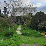 Stenorimi Valley House - Livadi, Astypalea