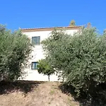 Anastassia Eg
