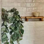 Oak Home Luxury Living