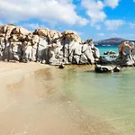 Octopus House