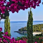 Sun Ray Sivota 2