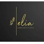 Elia Downtown Eco House